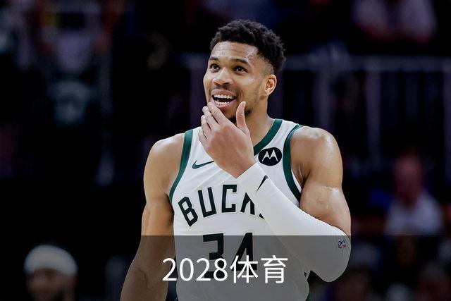关于2028体育